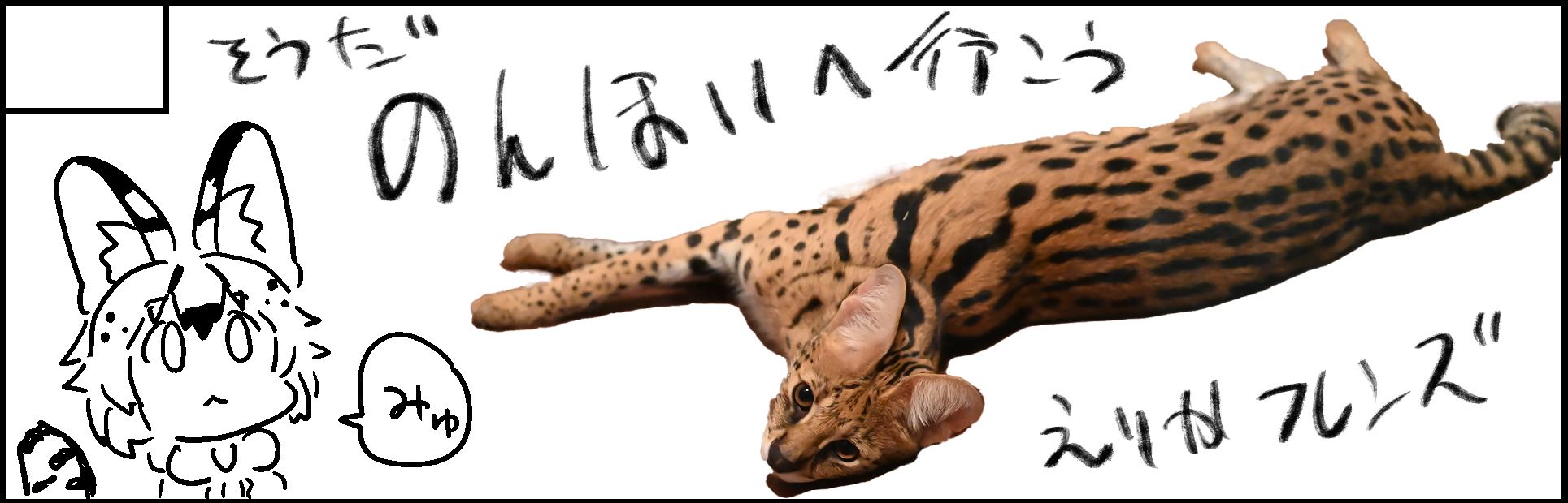 �������륫�å�