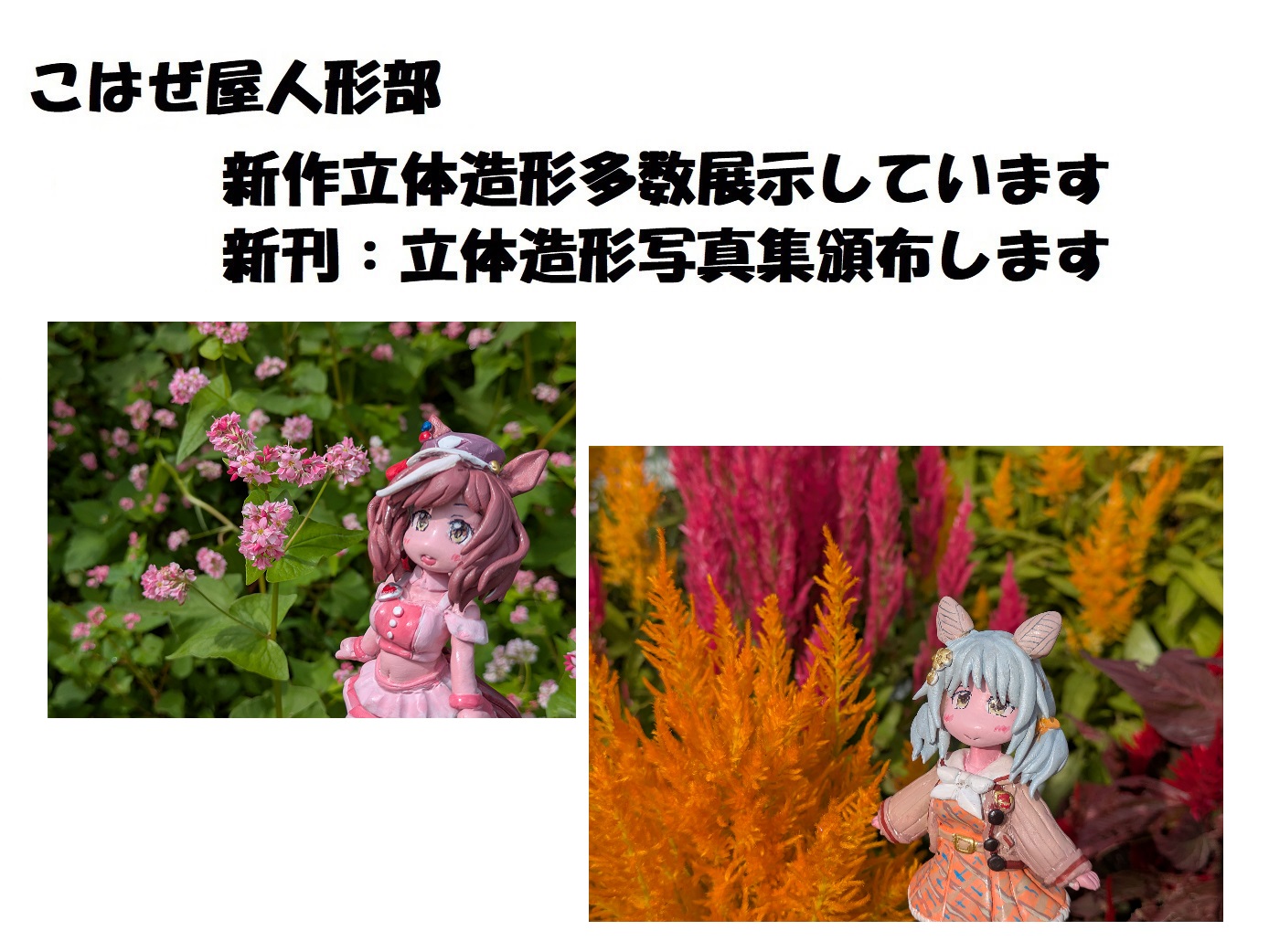 �������륫�å�